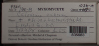 Image Associated With the Occurence
